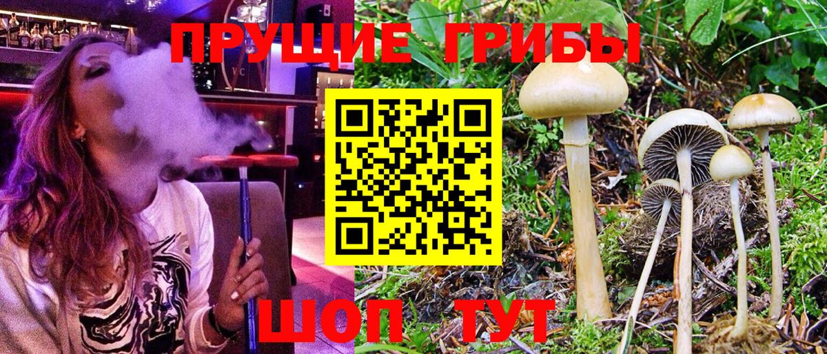 Псилоцибиновые грибы мухоморы  Вход с VPN  Заинск 