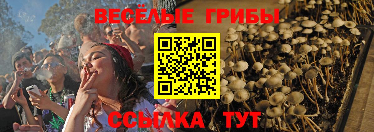 Галлюциногенные грибы ЛСД Заинск