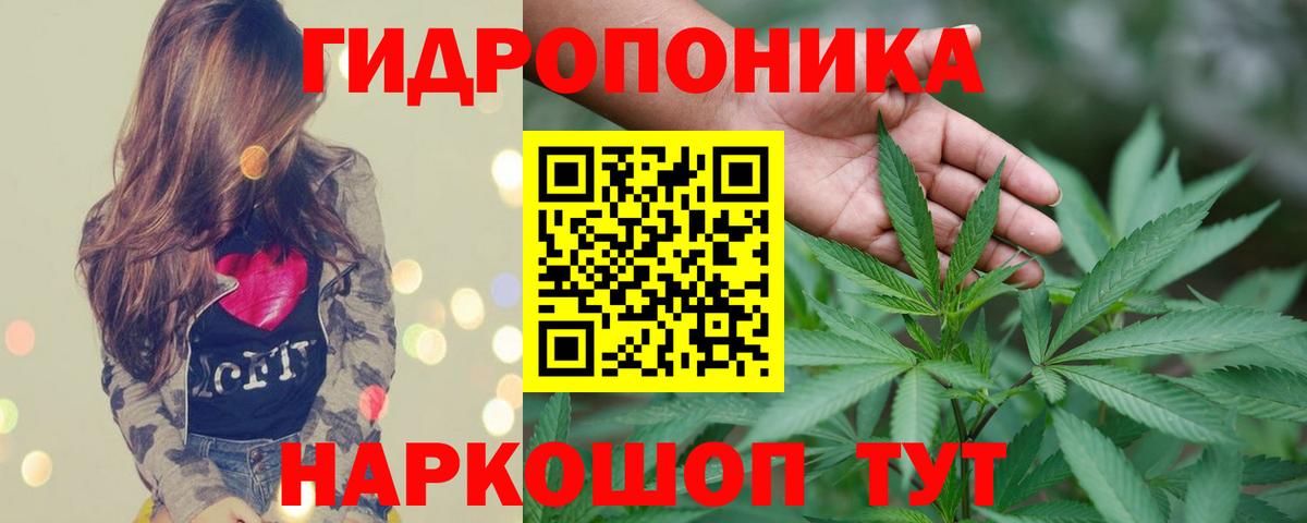Заинск  Бошки марихуана семена  Вход с VPN  Каннабис семена 